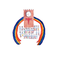 Logo Pubblica Amministrazione